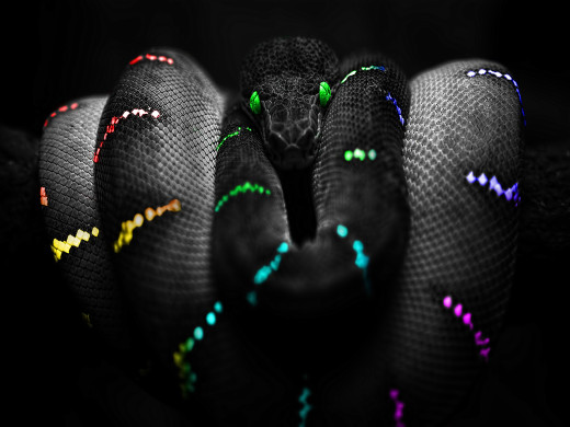 362299 (a): :1600x1200